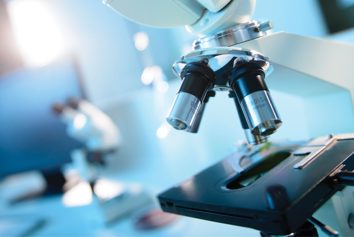 Laboratory